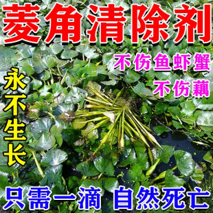 一扫光】菱角清除剂专用药浮萍鱼池除藻去苔剂鱼塘除草烂根不伤鱼