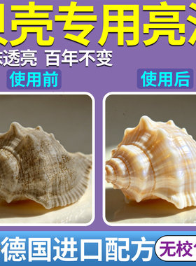 贝壳亮油封层海螺专用防裂增上光养护清洁剂标本框手工抛光处理液