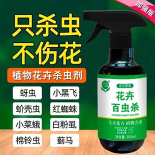 治花盆里的小黑飞室内养花土里去除植物小飞虫家用除虫养花药专灭