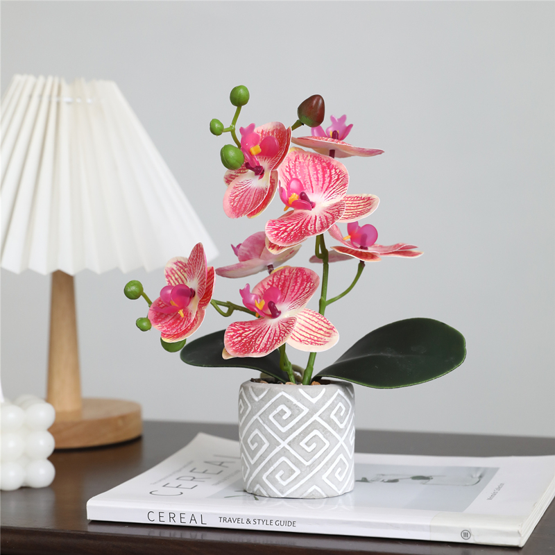 泰环蝴蝶兰小盆景仿真花桌面摆件