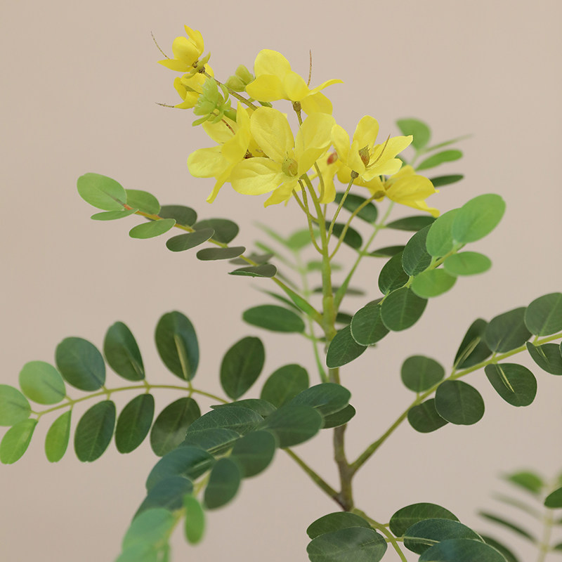 速发 单枝黄槐花仿真花假花高档绿叶植物摆件客厅玄关插花瓶
