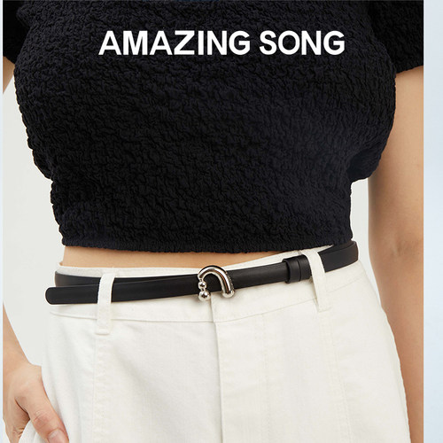 AmazingSong双面两用皮带