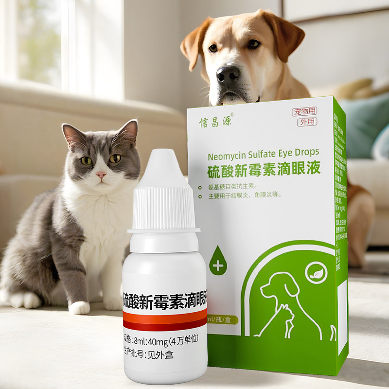 硫酸新霉素滴眼液宠物用狗狗猫咪眼药水角膜炎结膜炎犬猫专用,宠物/宠物食品及用品,狗眼/耳/口/鼻疾病药品,淘宝优惠券,粉丝福利购,淘宝优惠卷
