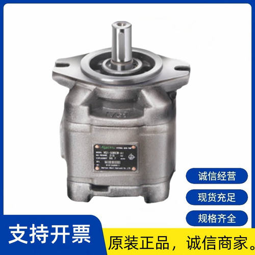 正品ALBERT艾伯特3525V38A10-1AB22R齿轮泵叶片泵正品供应全系列 - 封面