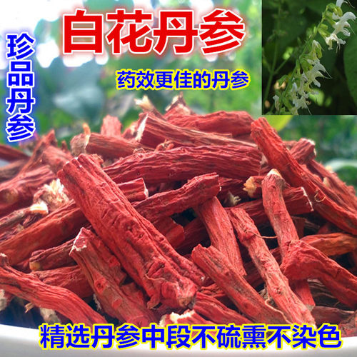 野生特级正品山东莱芜白花丹参