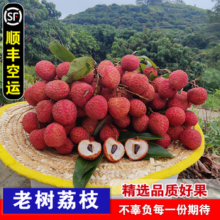 靈山桂味荔枝新鮮 5斤 高端應當季 水果精品孕婦超甜廣西禮盒 包郵