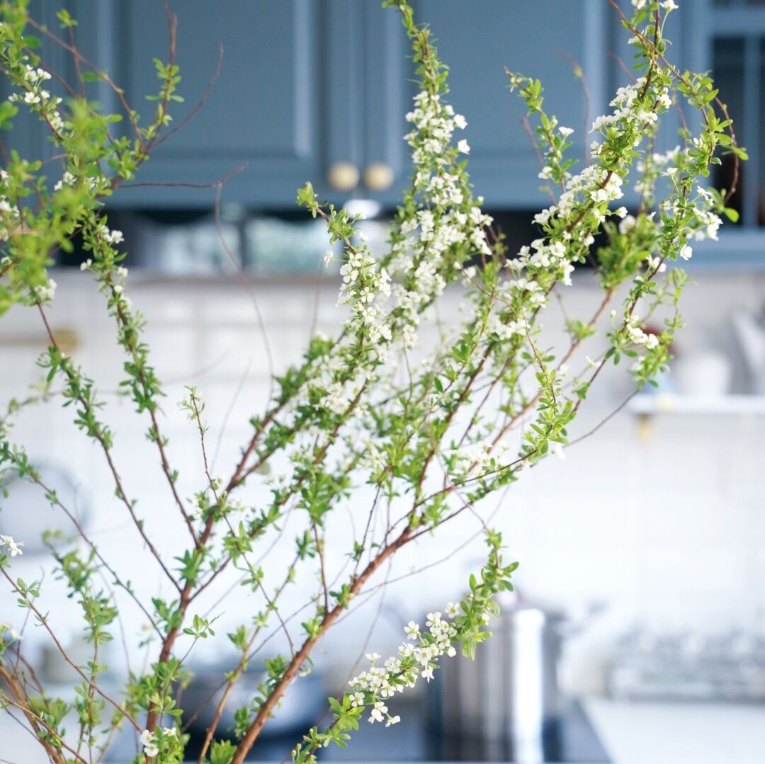 厚积薄发五谷丰登冬日雪柳鲜花