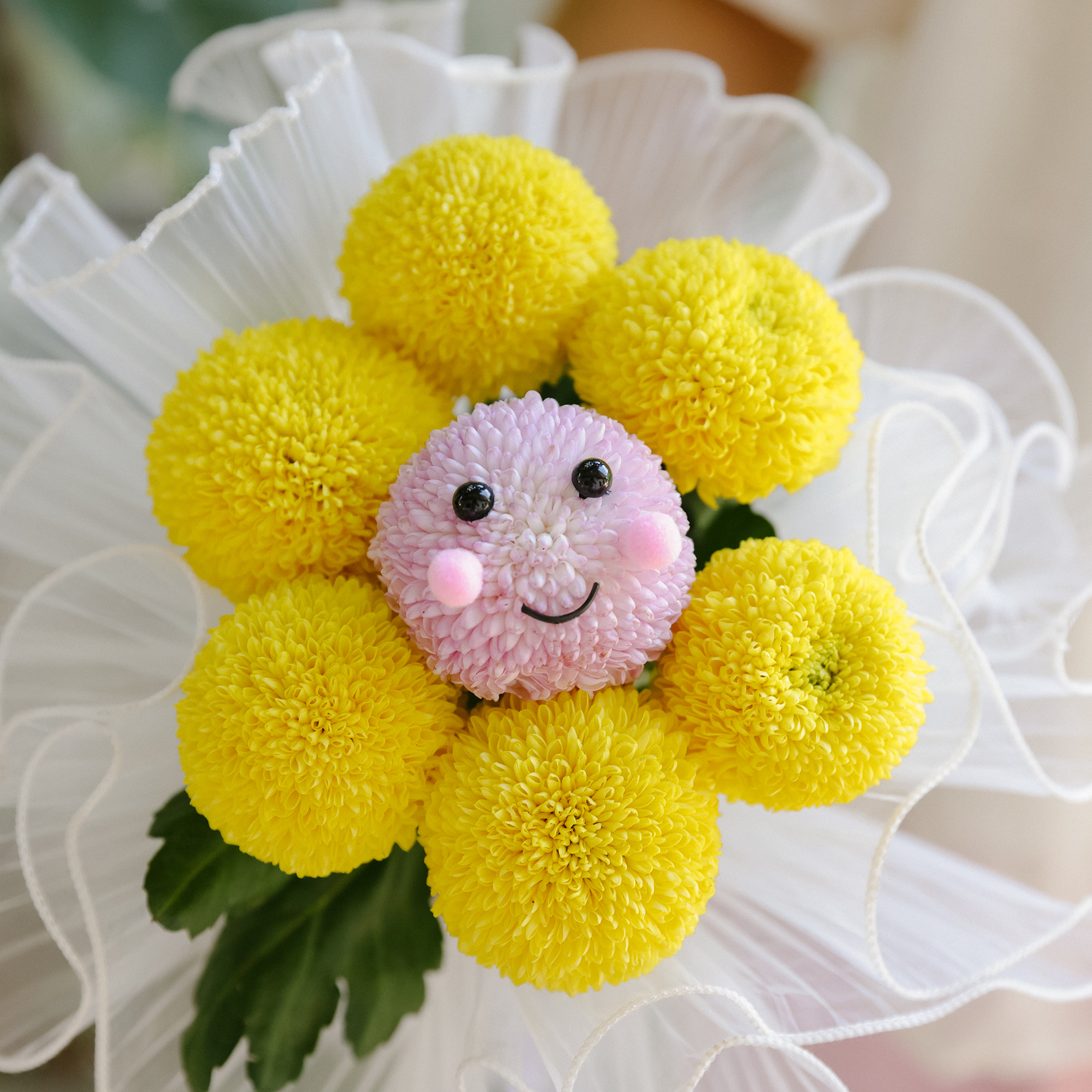 鲜切花乒乓菊百搭通用花期长