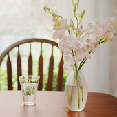 跳舞兰 花中君子 胡姬兰 泰国洋兰 蝴蝶兰2扎顺丰 云南直发鲜花