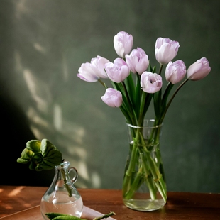 郁见美好 | 郁金香花束 鲜花云南直发 A级郁金香重瓣邮政空运包邮