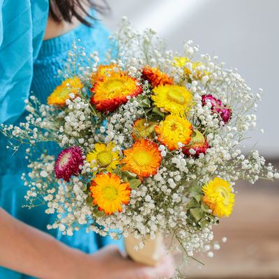 七彩蜡菊自然地区陆运