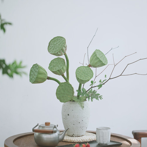 乐作莲蓬可生吃可做干花顺丰空运