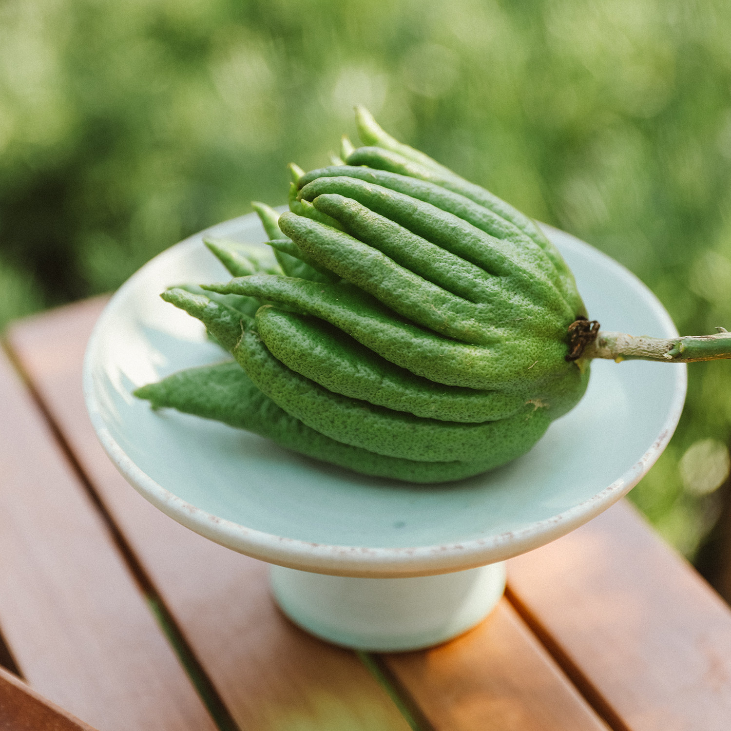 香中君子| 新鲜佛手柑观赏果南山地露天种植养护会变黄柑橘香可食,鲜花速递/花卉仿真/绿植园艺,花材,淘宝优惠券,粉丝福利购,淘宝优惠卷