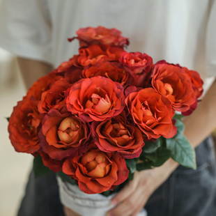 云南直发A级 鲜花 咖啡时间礼物店内任2扎顺丰 玫瑰花 偏爱玫瑰