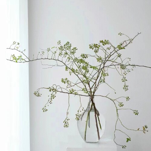 乐作山归来高档鲜花可做干花顺丰