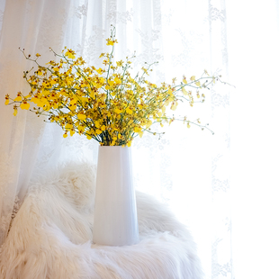 鲜花云南直发跳舞兰鲜花文心兰 花期长好养 顺丰空运包邮