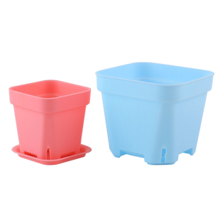 加厚小白方多肉花盆肉肉植物塑料方形叶插盆育苗盆大黑方盆十方盆