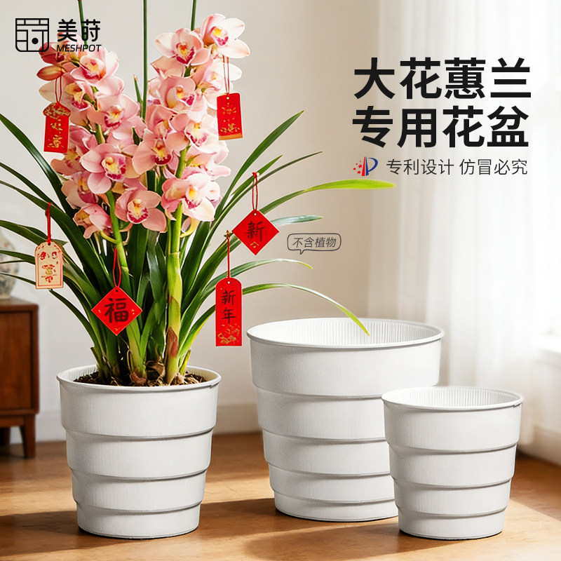 美莳大花蕙兰专用花盆特大号塑料树脂透气防烂根惠兰兰花控根套盆,鲜花速递/花卉仿真/绿植园艺,花盆,淘宝优惠券,粉丝福利购,淘宝优惠卷