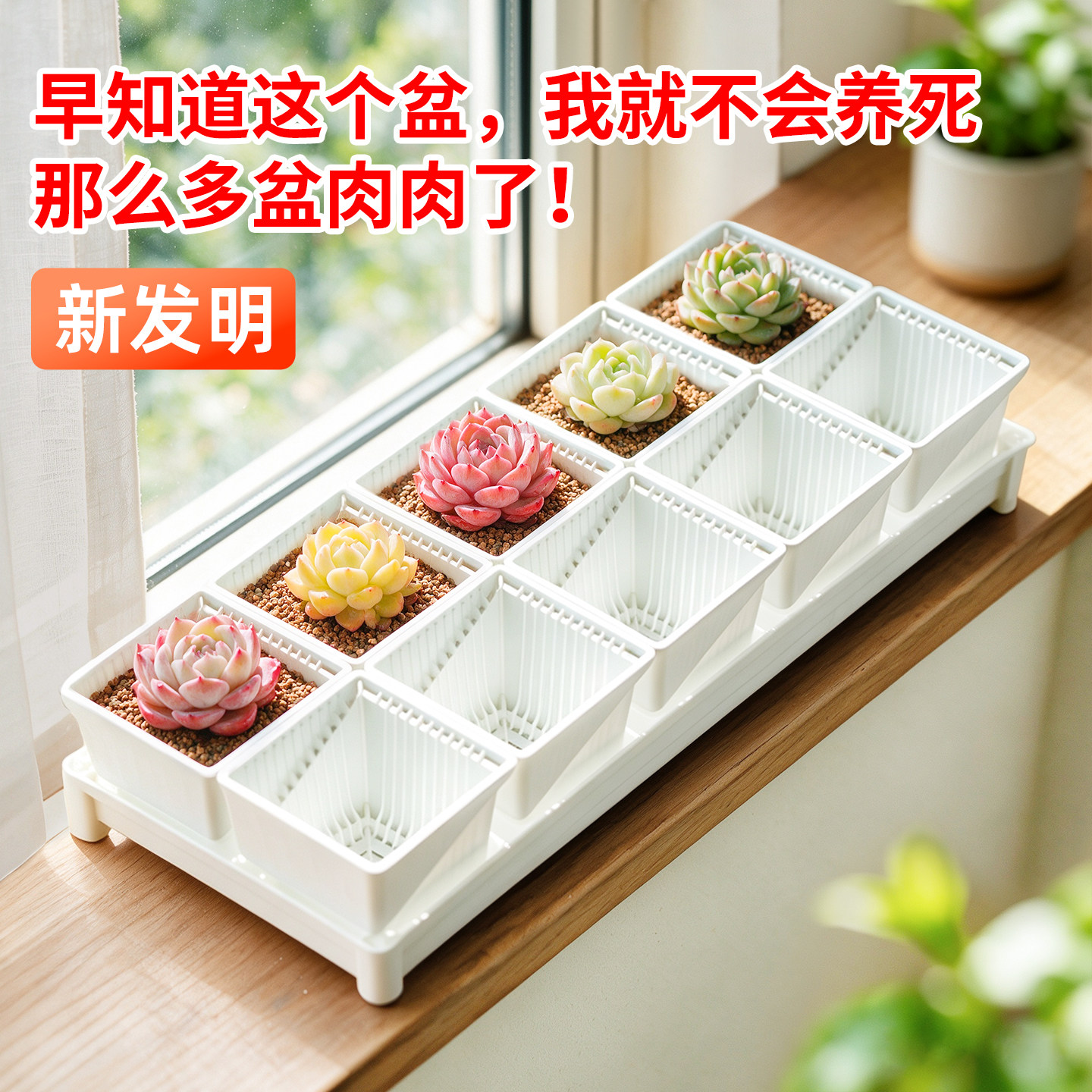 专利设计丨美莳多肉控根花盆图片