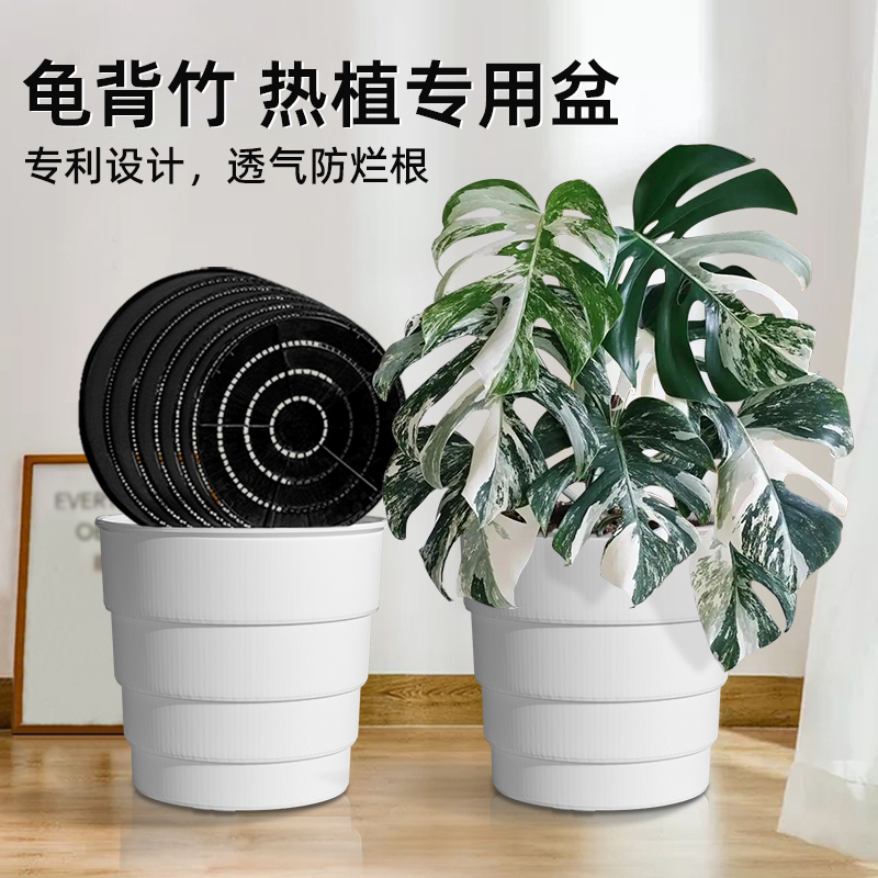 专利设计美莳龟背竹热植专用盆
