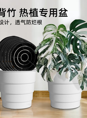 美莳龟背竹专用大花盆热植控根透气树脂塑料青山活性土培保持落地