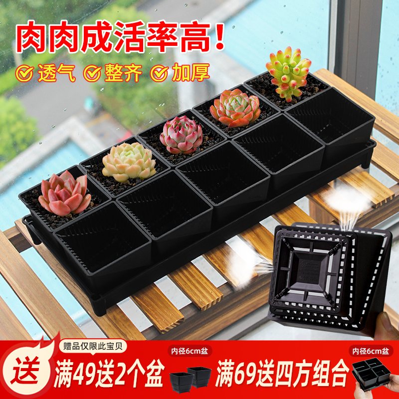 美莳多肉专用控根花盆塑料长条型