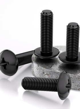 黑色304不锈钢大扁头螺丝钉JIS1111T加长螺栓螺杆伞头M2M2.5M3-M6