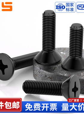 NS黑色304不锈钢十字沉头螺丝钉GB819平头螺栓加长螺杆M1.6M2-M10