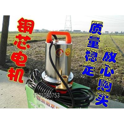 电动车家用农用直流水泵12V24V48V 高扬程电瓶潜水泵抽水灌溉浇菜