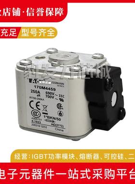 170M4693 170M4694 170M4695 170M4696 170M4697全新熔断器现货