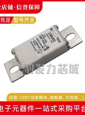 170M2758/2759/2760/2761/2762/2763-2771 3688 3738 3747熔断器