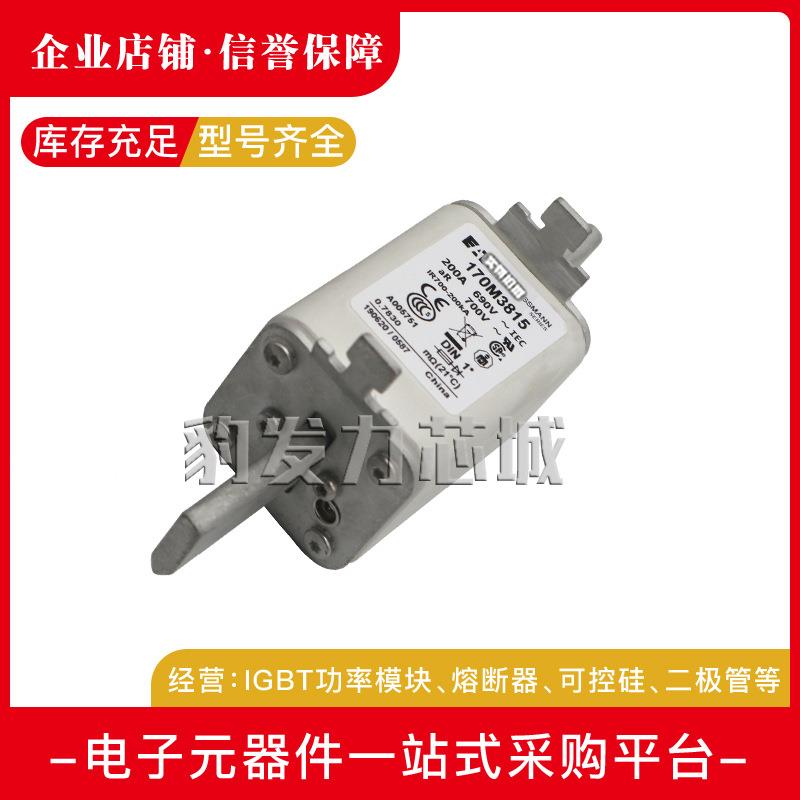 170M3689 170M3690/3691/3692/3693/3694/3695/3696/3697熔断器