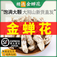 金蝉花野生500g中药材的功效与作用金蝉花虫草怎么吃可磨粉泡煮水