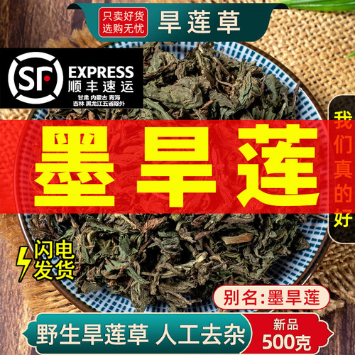墨旱莲中药材500g搭配女贞子养发