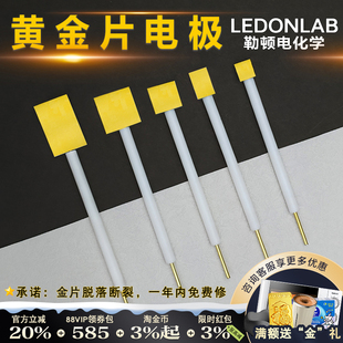勒顿电化学金电极金片电极对比辅助电极AU黄金丝黄金盘电极电解池