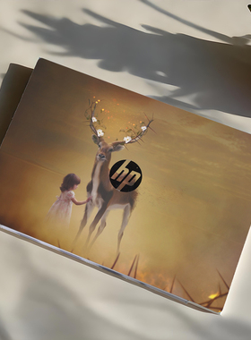 笔记本电脑贴膜适用惠普星14 PROBOOK 440 455 450 445 G7 G8贴纸