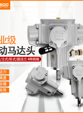 巨柏HL-010小型活塞式风动气动马达大扭矩防爆低速正反转配减速机
