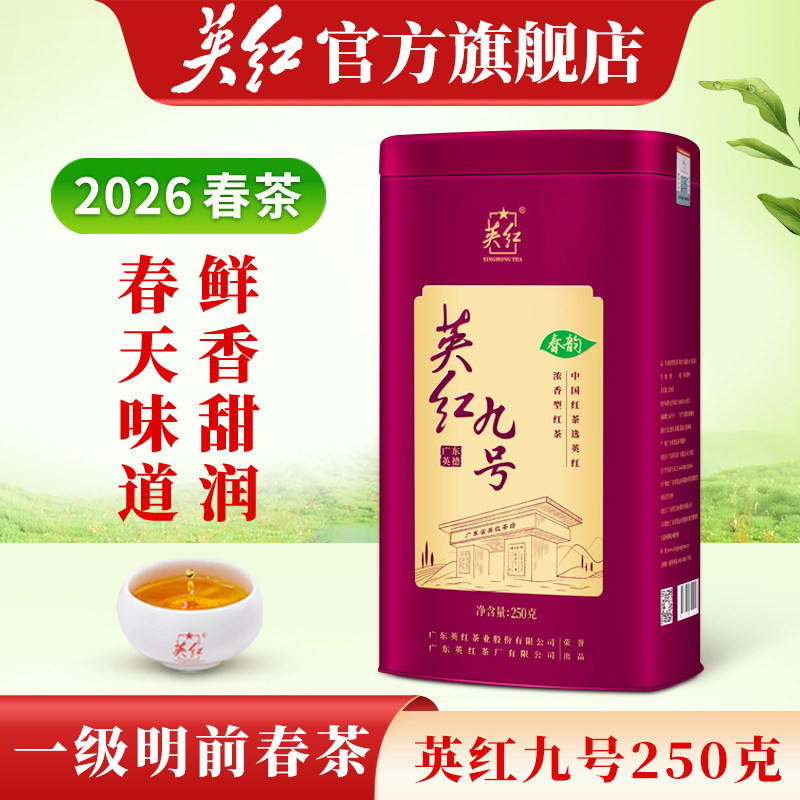 【2026明前春茶】英红九号官方正品英德红茶大份量罐装送礼共250g