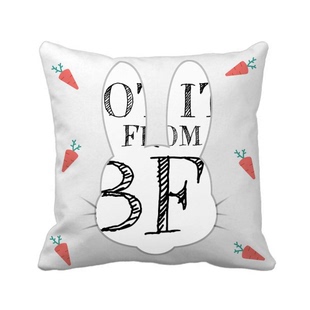 我的男友给我的礼物情人节兔子方形抱枕靠枕沙发靠垫双面含芯礼物