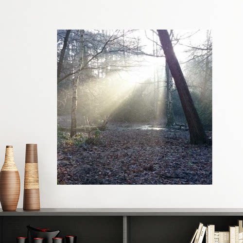 光线绿色森林自然景色墙贴壁纸房间贴花海报不干胶车贴室内装饰