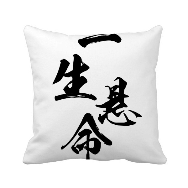 一生悬命方形抱枕靠枕沙发靠垫双面含芯礼物定制简约定做