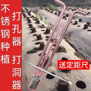 地膜打孔器种植种瓜定距尺移栽器打洞器取土器双杆栽苗器不锈钢