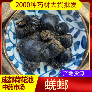 蜣螂中药材 蜣螂虫 50克包邮大将军 屁巴虫 屎壳郎免费打粉