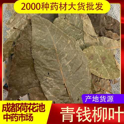 青钱柳叶材500克正品青钱柳古树金钱柳茶搭牛蒡玉米须桑叶茶