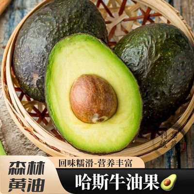 云南孟连哈斯牛油果新鲜国产鳄梨奶酪樟油梨高端水果整箱羔羊hass