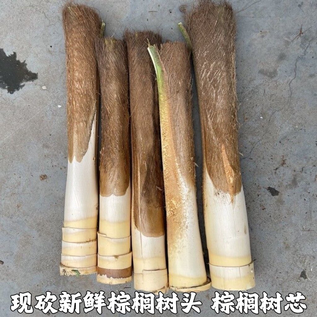 现砍新鲜甜棕树心棕树尖棕榈芯棕树头棕榈心棕榈树树心包邮