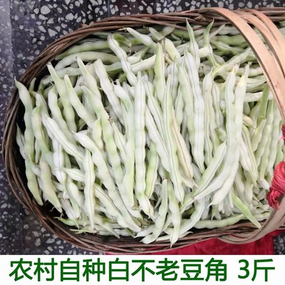 豆角芸豆四季豆眉豆3斤新鲜蔬菜