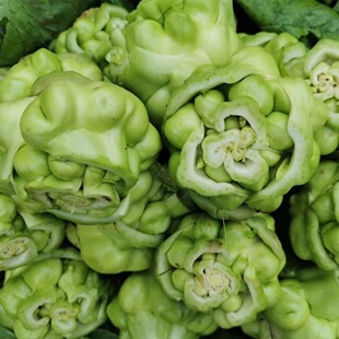 新鲜榨菜头青菜头棒菜菱角菜疙瘩菜泡菜头涪陵榨菜5斤儿菜咸菜料