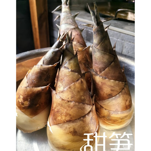 云南新鲜甜龙竹笋可生吃水果笋可生吃笋清甜脆新鲜发货