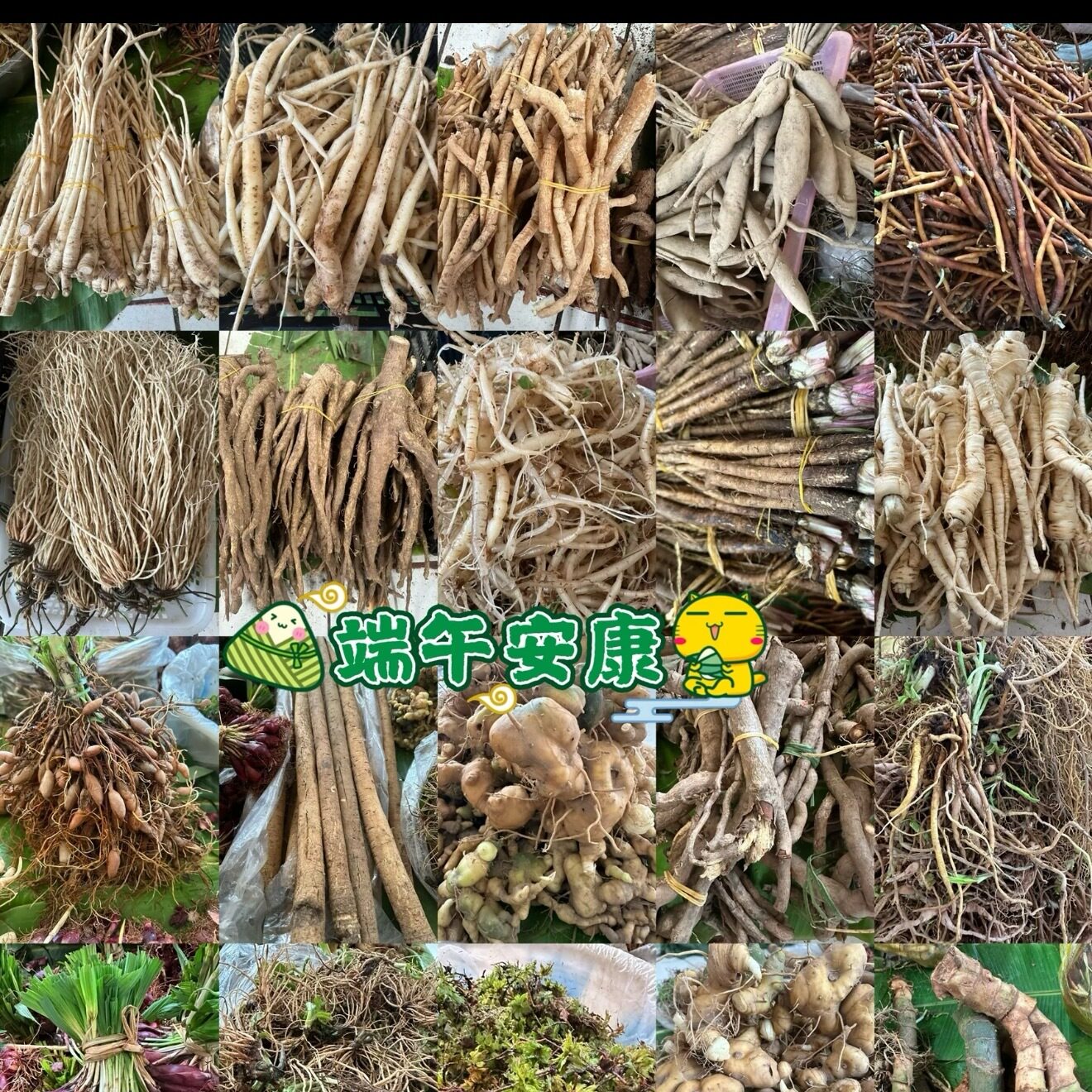 端午百草根普洱人的端午炖肉炖鸡嘎嘎香药香